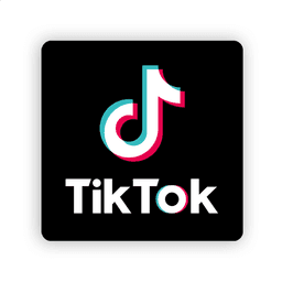 TIKTOK VIEW-FALLOW